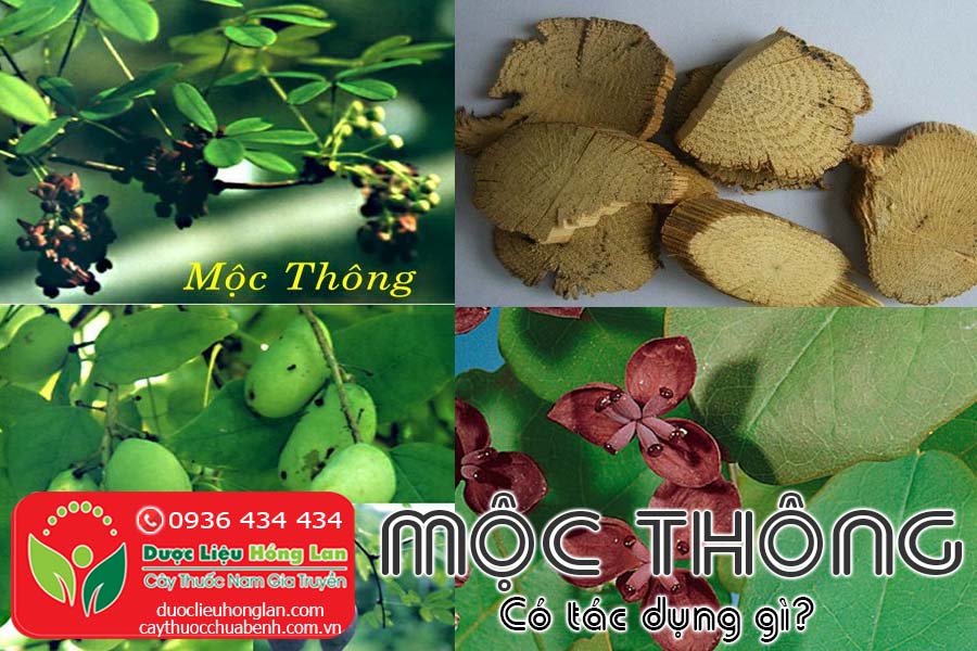 MOC-THONG-CO-TAC-DUNG-GI-CTY-DUOC-LIEU-HONG-LAN