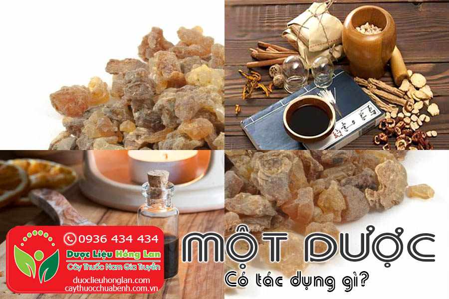 MOT-DUOC-CO-TAC-DUNG-GI-CTY-DUOC-LIEU-HONG-LAN