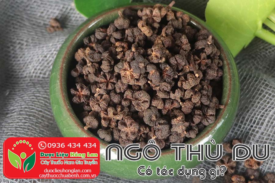 NGO-THU-DU-CO-TAC-DUNG-GI-CTY-DUOC-LIEU-HONG-LAN