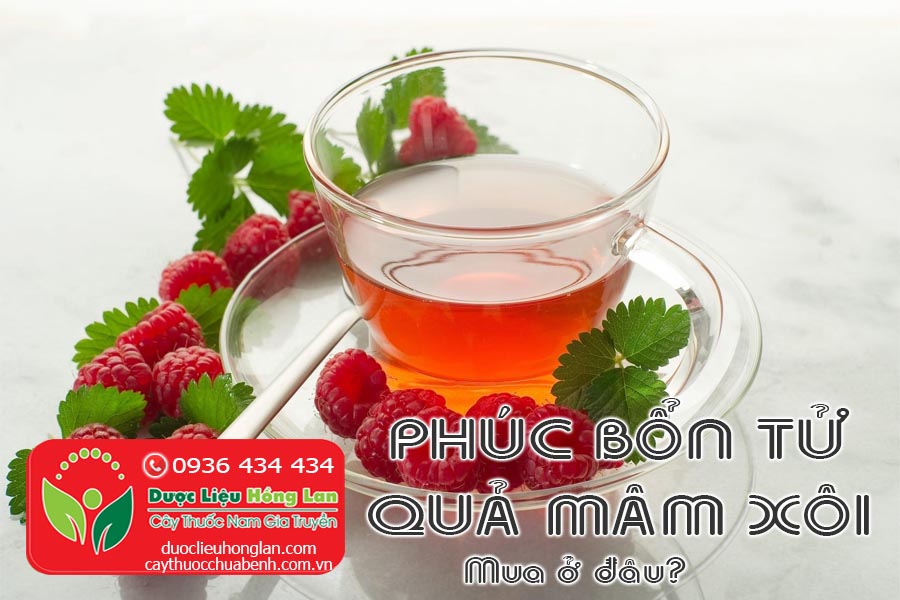 PHUC-BON-TU-QUA-MAM-XOI-MUA-O-DAU-CTY-DUOC-LIEU-HONG-LAN