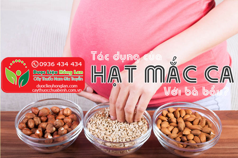 TAC-DUNG-CUA-HAT-MAC-CA-VOI-BA-BAU-CTY-DUOC-LIEU-HONG-LAN