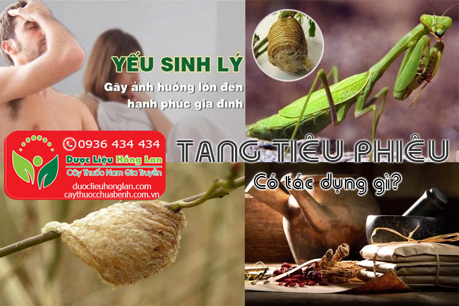 TANG-TIEU-PHIEU-CO-TAC-DUNG-GI-CTY-DUOC-LIEU-HONG-LAN