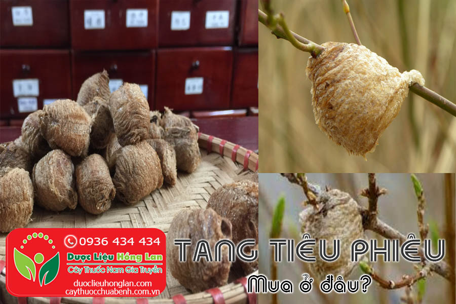 TANG-TIEU-PHIEU-MUA-O-DAU-TPHCM-HA-NOI-CTY-DUOC-LIEU-HONG-LAN