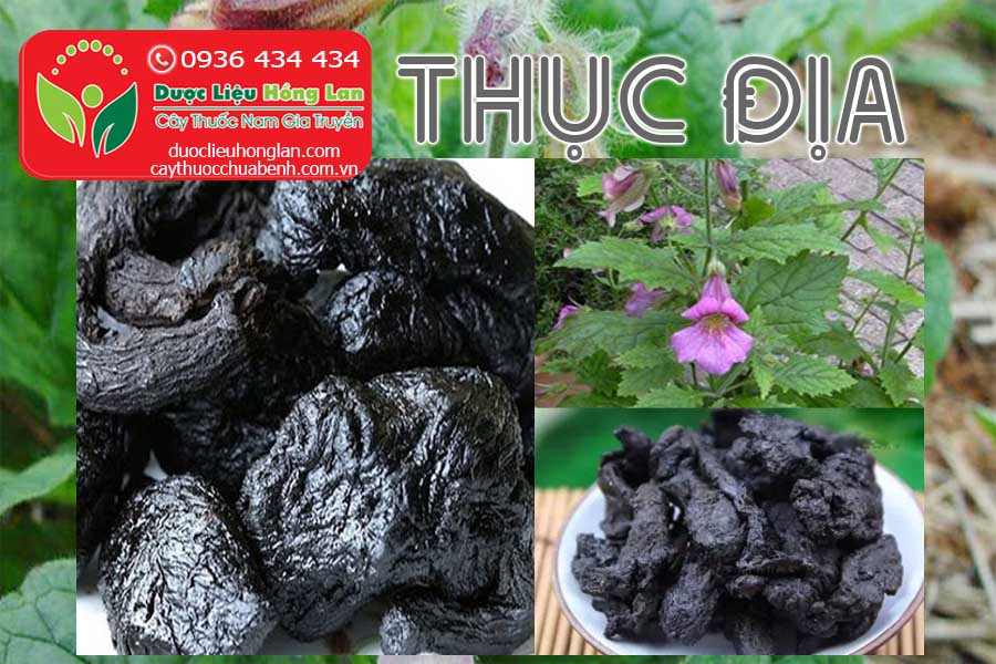 THUC-DIA-CO-TAC-DUNG-GI-CTY-DUOC-LIEU-HONG-LAN