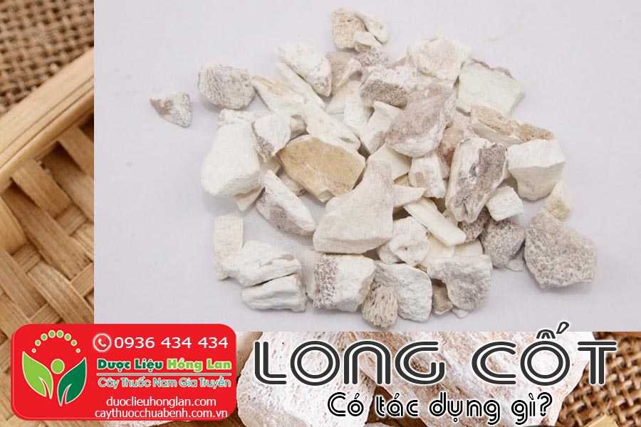 VI-THUOC-LONG-COT-CO-TAC-DUNG-GI-CTY-DUOC-LIEU-HONG-LAN