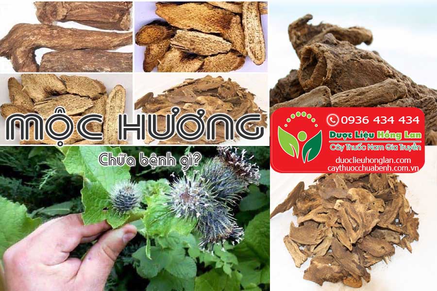 VI-THUOC-MOC-HUONG-CHUA-BENH-GI-CTY-DUOC-LIEU-HONG-LAN