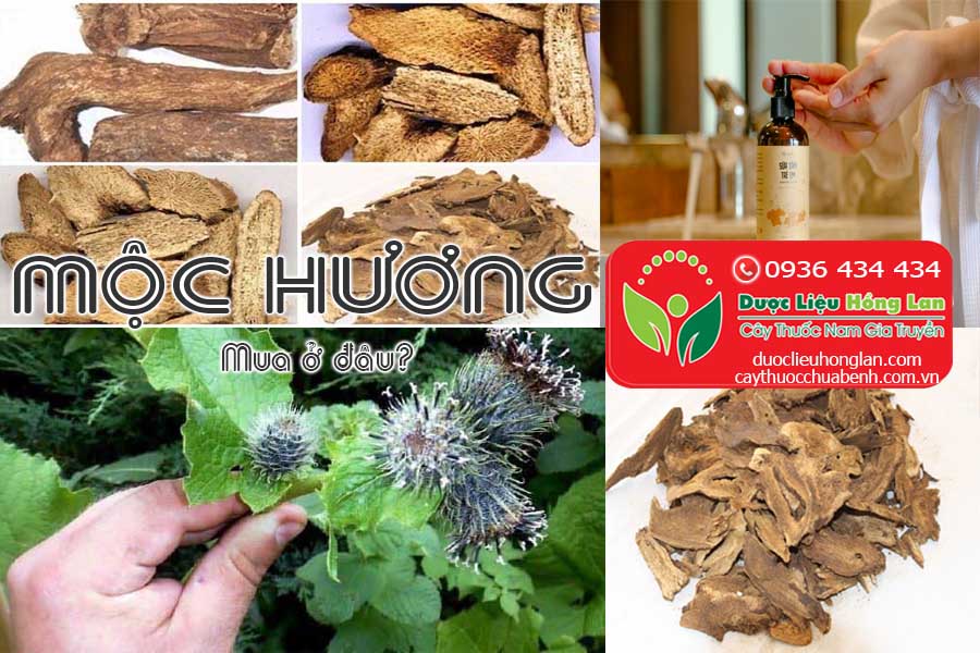 VI-THUOC-MOC-HUONG-CO-TAC-DUNG-GI-CTY-DUOC-LIEU-HONG-LAN