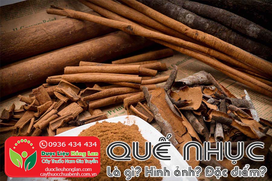 VI-THUOC-QUE-NHUC-LA-GI-HINH-ANH-SONG-VA-MOC-O-DAU-CTY-DUOC-LIEU-HONG-LAN