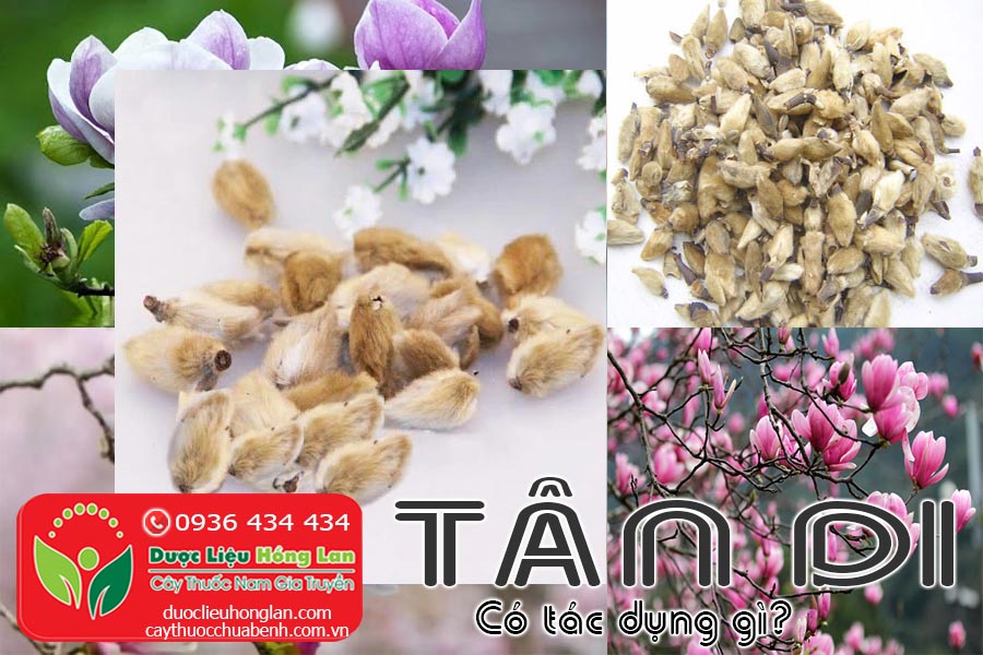 VI-THUOC-TAN-DI-CO-TAC-DUNG-GI-CTY-DUOC-LIEU-HONG-LAN