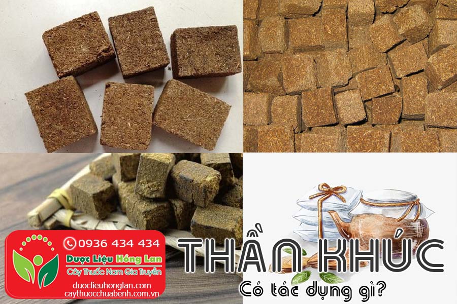 VI-THUOC-THAN-KHUC-CO-TAC-DUNG-GI-CTY-DUOC-LIEU-HONG-LAN