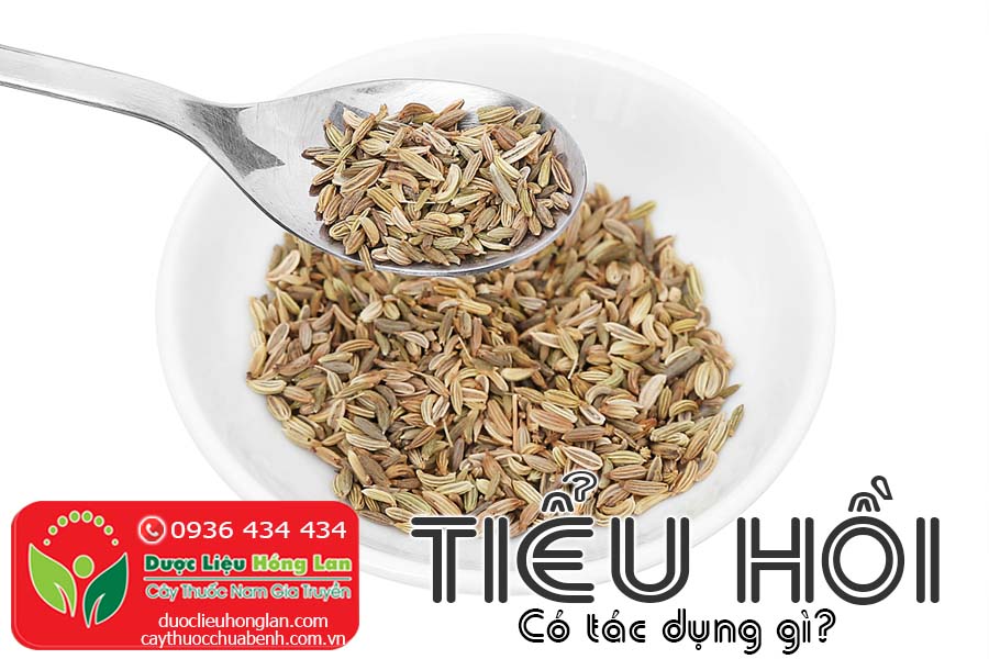 VI-THUOC-TIEU-HOI-CO-TAC-DUNG-GI-CTY-DUOC-LIEU-HONG-LAN