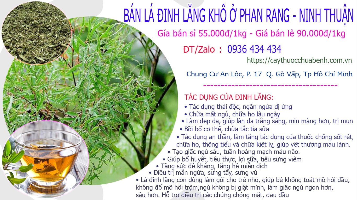 Bán lá đinh lăng khô ở Phan Rang - Ninh Thuận giá từ 55k