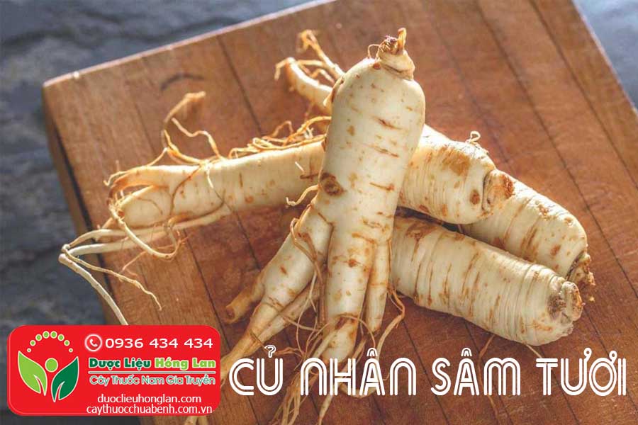 CU-NHAN-SAM-HAN-QUOC-TUOI-CTY-DUOC-LIEU-HONG-LAN