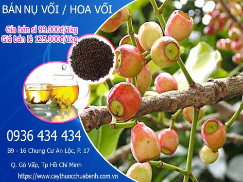 Mua bán Nụ Vối (Hoa Vối) giá từ 120.000đ/kg giao hàng toàn quốc