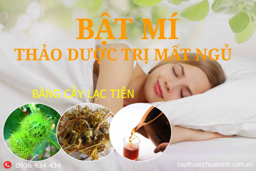 Mua bán Cây Lạc Tiên khô giá từ 49.000đ/kg giao hàng toàn quốc