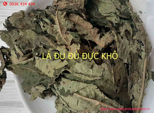 Mua bán Lá Đu Đủ Đực khô giá từ 60.000đ/kg giao hàng toàn quốc