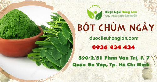 Mua bán bột Chùm Ngây giá từ 100.000đ/kg giao hàng toàn quốc