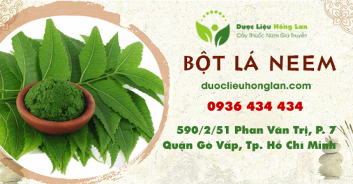 Mua bán bột Lá Neem Ấn Độ giá từ 85.000đ/kg giao hàng toàn quốc