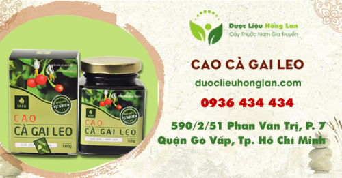 Mua bán cao Cây Cà Gai Leo giá từ 150.000đ/1 hũ 100ml giao hàng toàn quốc