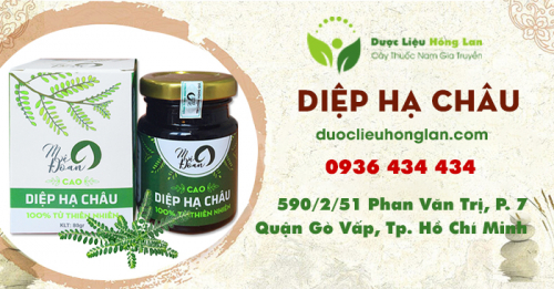 Mua bán cao Diệp Hạ Châu (cao Chó Đẻ Răng Cưa) giao hàng toàn quốc