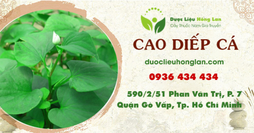 Mua bán bột Diếp Cá giao hàng toàn quốc