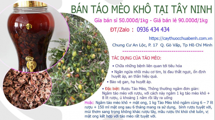 Mua bán Táo Mèo khô Yên Bái ngâm rượu giá từ 50.000đ/kg uy tín tại Tây Ninh