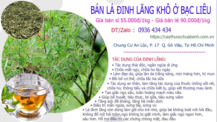 Mua bán Lá Cây Đinh Lăng khô tại Bạc Liêu giá từ 55.000đ/kg giao hàng toàn quốc