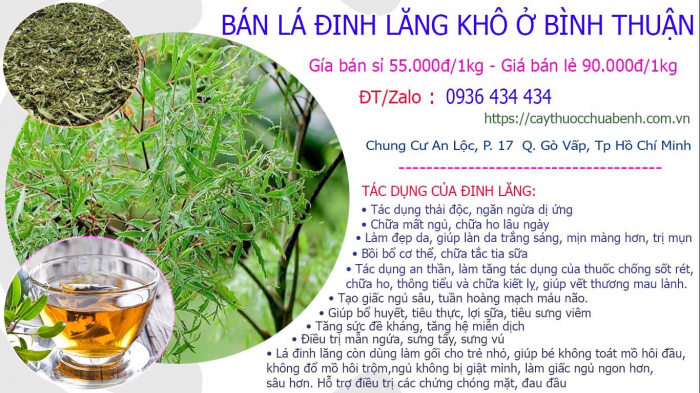 Mua bán Lá Cây Đinh Lăng khô tại Bình Thuận giá từ 55.000đ/kg giao hàng toàn quốc