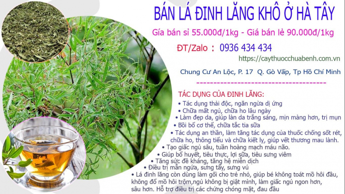 Mua bán Lá Cây Đinh Lăng khô tại Hà Tây giá từ 55.000đ/kg giao hàng toàn quốc