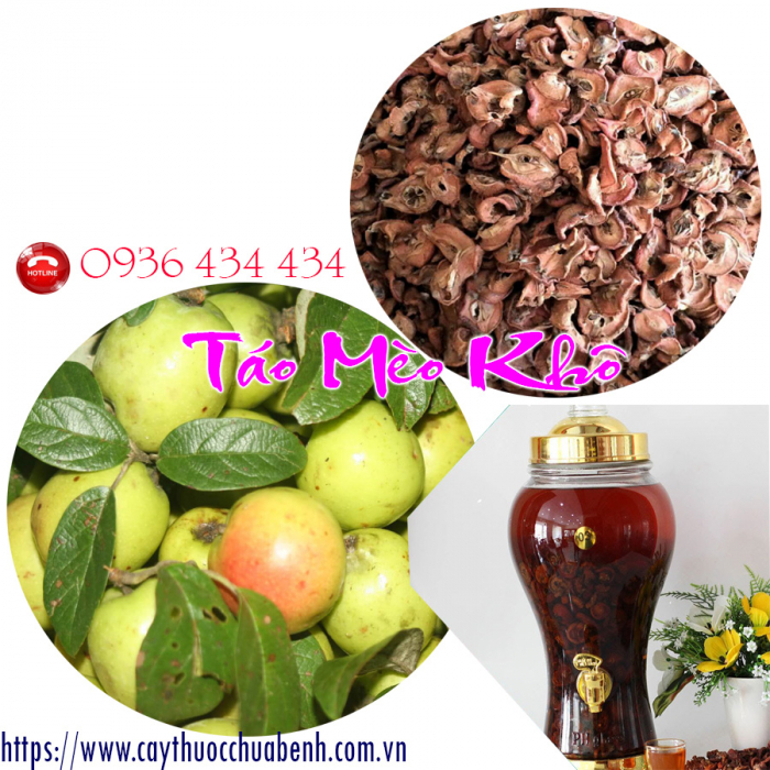 Bán sỉ & lẻ Táo Mèo khô Yên Bái ngâm rượu giá từ 50.000đ/kg tại Bình Dương