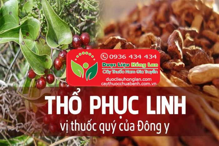 Mua bán Củ Thổ Phục Linh khô giá từ 100.000đ/kg giao hàng toàn quốc