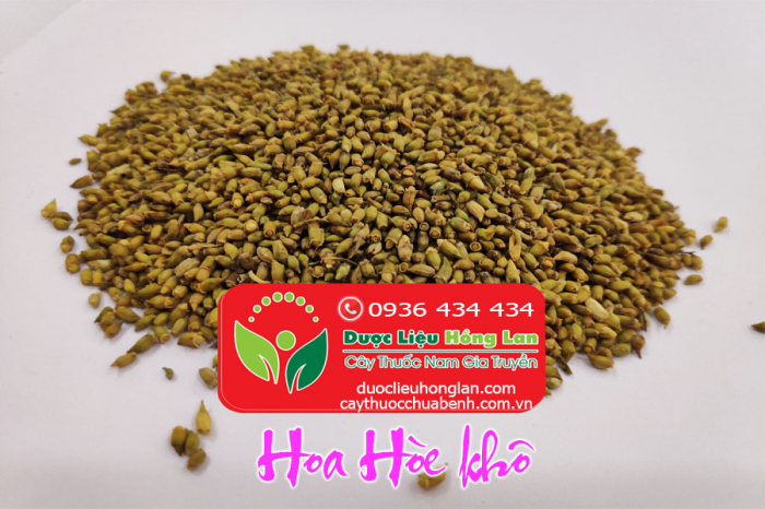 Mua bán Hoa Hòe khô giá từ 198.000đ giao hàng toàn quốc