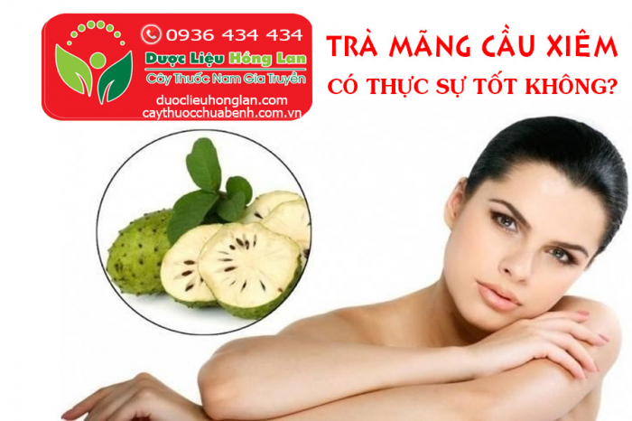 Mua bán Trà Mãng Cầu Xiêm giá từ 150.000đ/1kg giao hàng toàn quốc