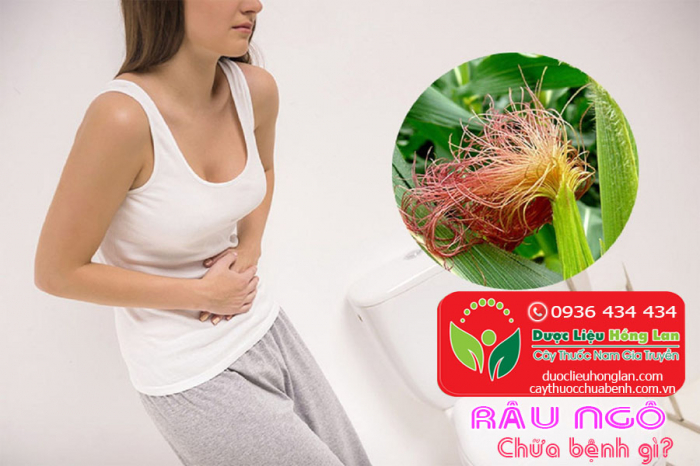 Mua bán Râu Ngô khô giá từ 65.000đ/1kg giao hàng toàn quốc