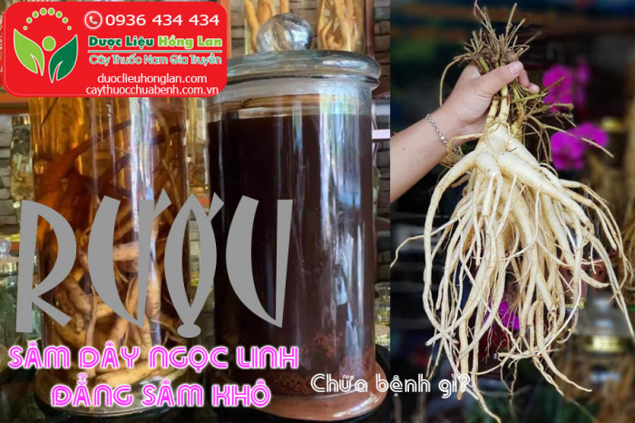 Mua bán Sâm dây Ngọc Linh (Đẳng Sâm) khô giá từ 198.000đ/1kg giao hàng toàn quốc