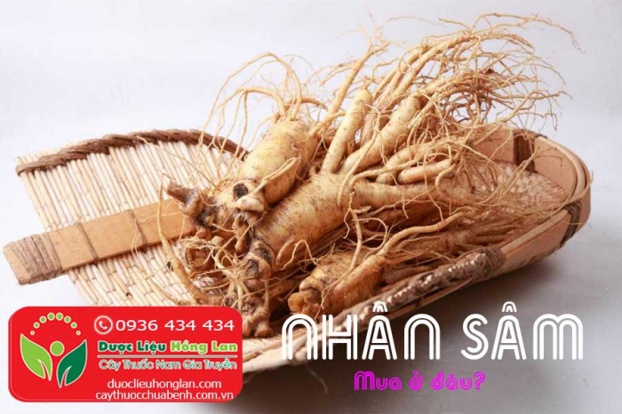 Mua bán Nhân Sâm giá từ 1.590.000đ/1kg giao hàng toàn quốc