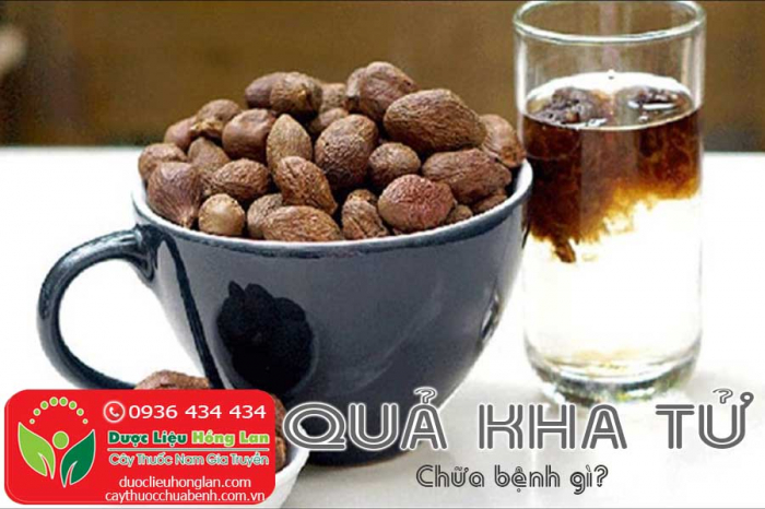 Mua bán Quả Kha Tử khô giá từ 80.000đ/1kg giao hàng toàn quốc