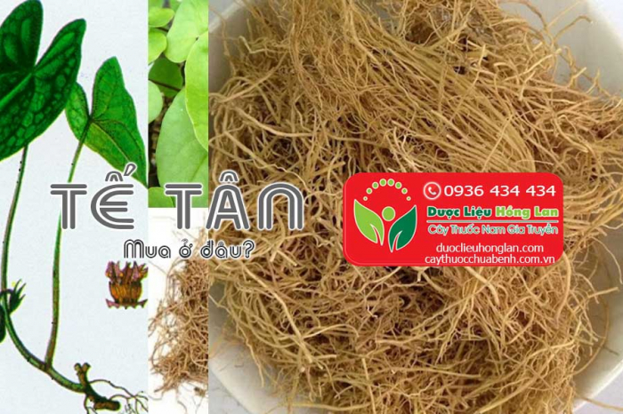 Mua bán Tế Tân giá từ 420.000đ/1kg giao hàng toàn quốc