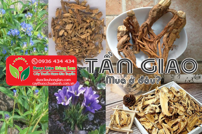 Mua bán Tần giao giá từ 390.000đ/kg giao hàng toàn quốc