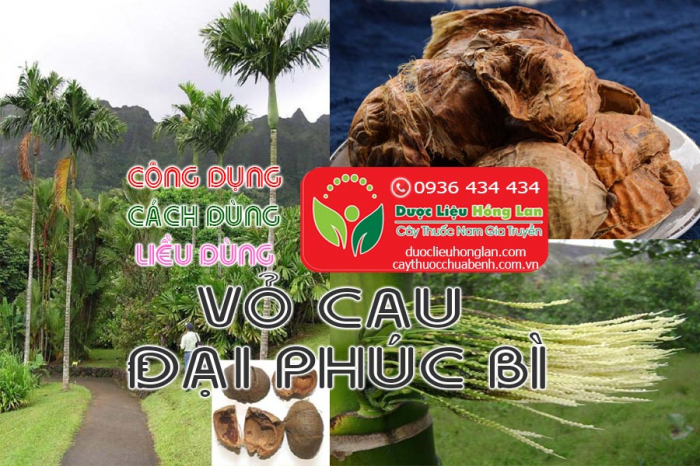 Mua bán Đại phúc bì (vỏ cau) giá từ 290.000đ/kg giao hàng toàn quốc