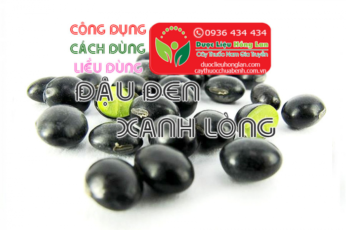 Mua bán Đậu đen xanh lòng giá từ 50.000đ/1kg giao hàng toàn quốc