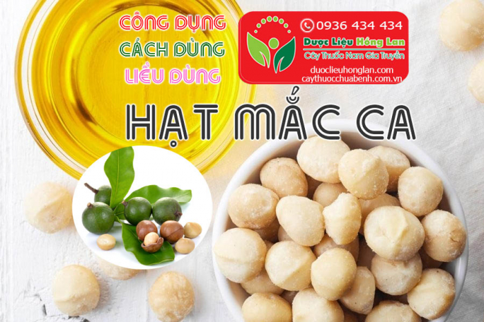 Mua bán Hạt Mắc ca (macca) giá từ 260.000đ/1kg giao hàng toàn quốc