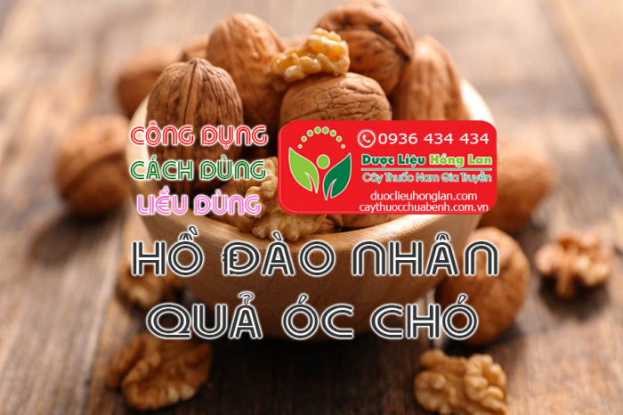 Mua bán Hồ đào nhân (quả óc chó) giá từ 180.000đ/1kg giao hàng toàn quốc