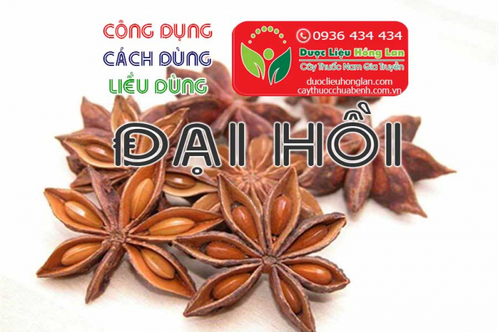 Mua bán Hoa Hồi (Đại Hồi) giá từ 150.000đ/kg giao hàng toàn quốc