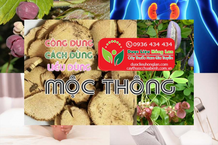 Mua bán Mộc thông giá từ 55.000đ/1kg giao hàng toàn quốc