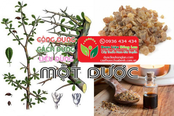 Mua bán Một dược giá từ 260.000đ/1kg giao hàng toàn quốc