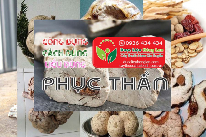 Mua bán Phục thần giá từ 250.000đ/1kg giao hàng toàn quốc