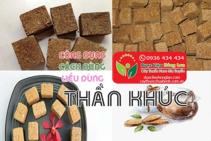 Mua bán Thần khúc giá từ 160.000đ/kg giao hàng toàn quốc