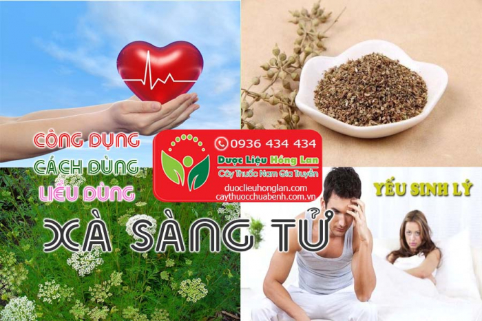 Mua bán Xà sàng tử giá từ 160.000đ/kg giao hàng toàn quốc