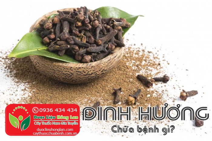 Mua bán Đinh hương giá từ 290.000đ/1kg giao hàng toàn quốc